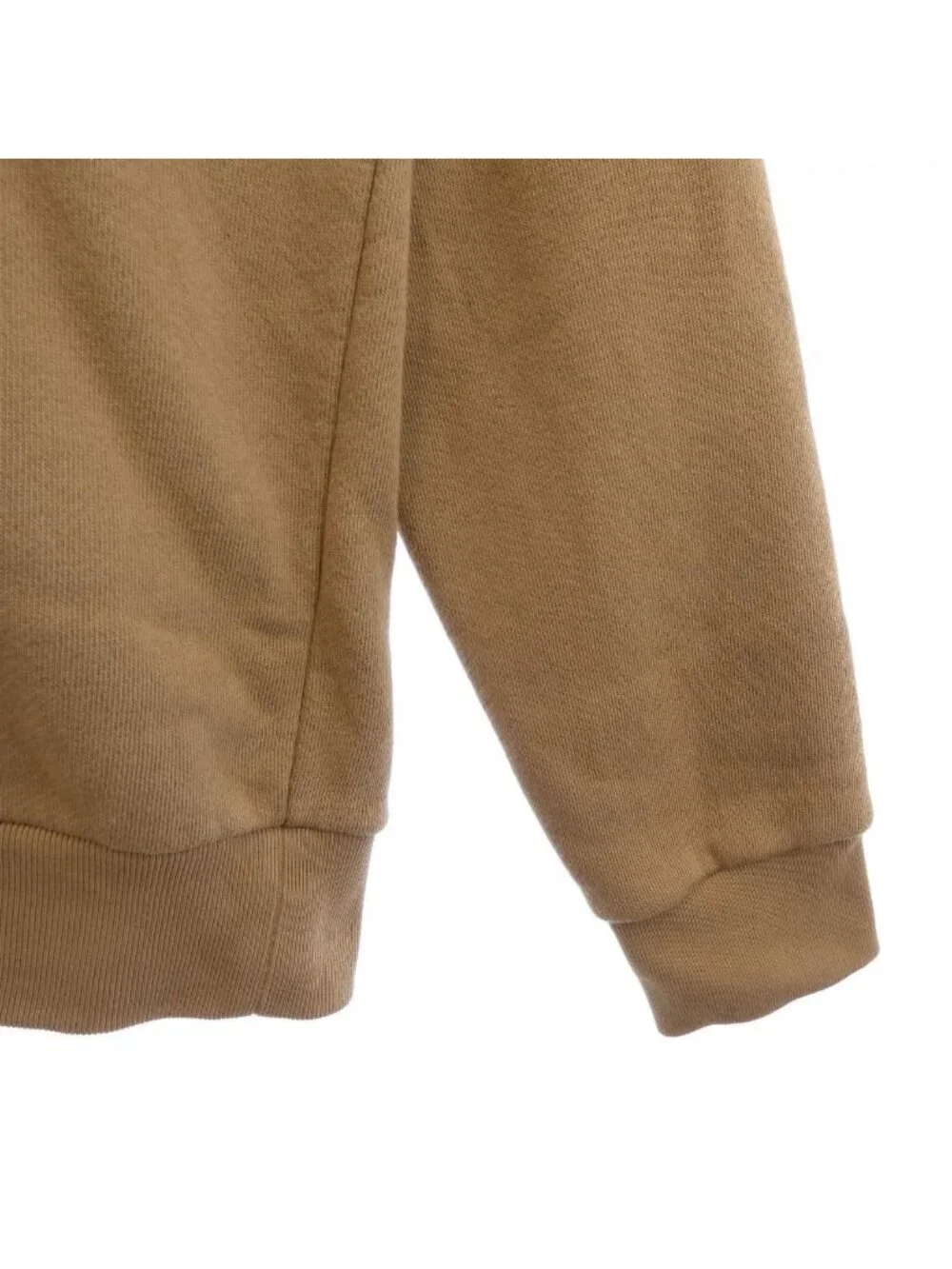 Gucci the North Face Hoodie